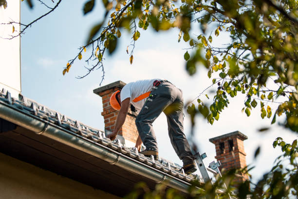 Best Storm Damage Roof Repair  in Ramsey, MN
