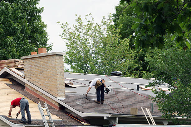 Best Flat Roof Repair Services  in Ramsey, MN