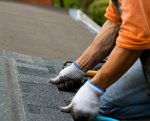 Best Slate Roofing Contractor  in Ramsey, MN