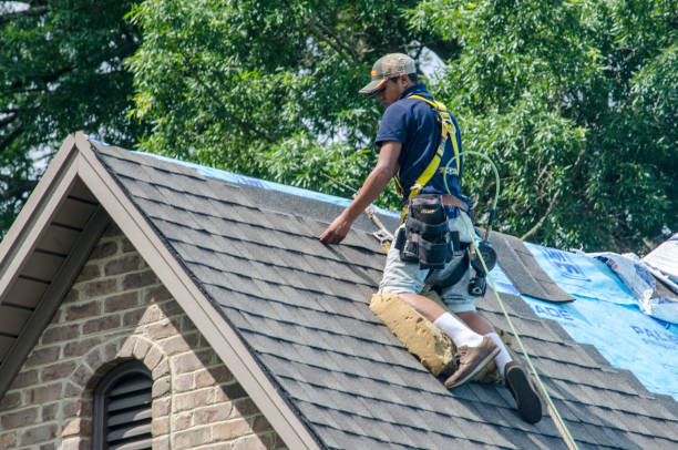 Quick and Trustworthy Emergency Roof Repair Services in Ramsey, MN